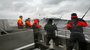 havfiskeri i Norge og norden